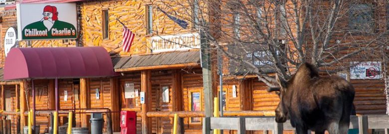 Chilkoot Charlie’s